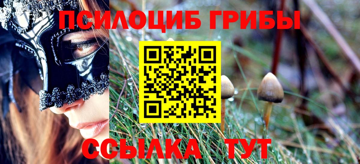 Псилоцибиновые грибы GOLDEN TEACHER  Вход с VPN  Омск 